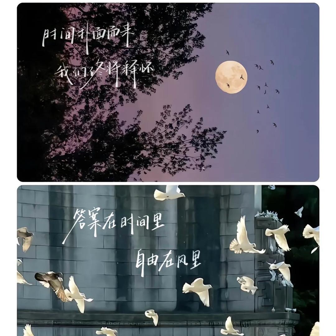 Airport.时迁