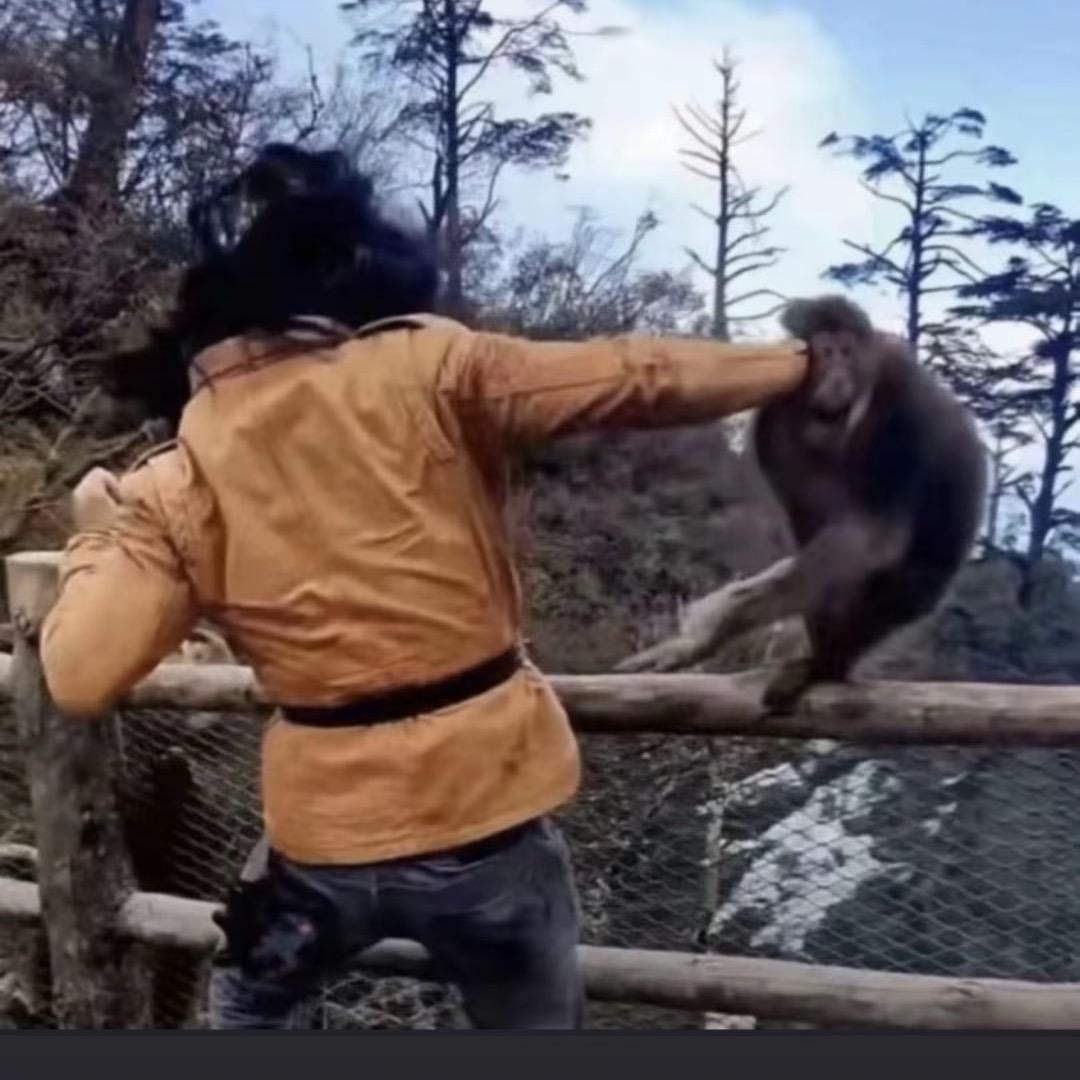 鸡精