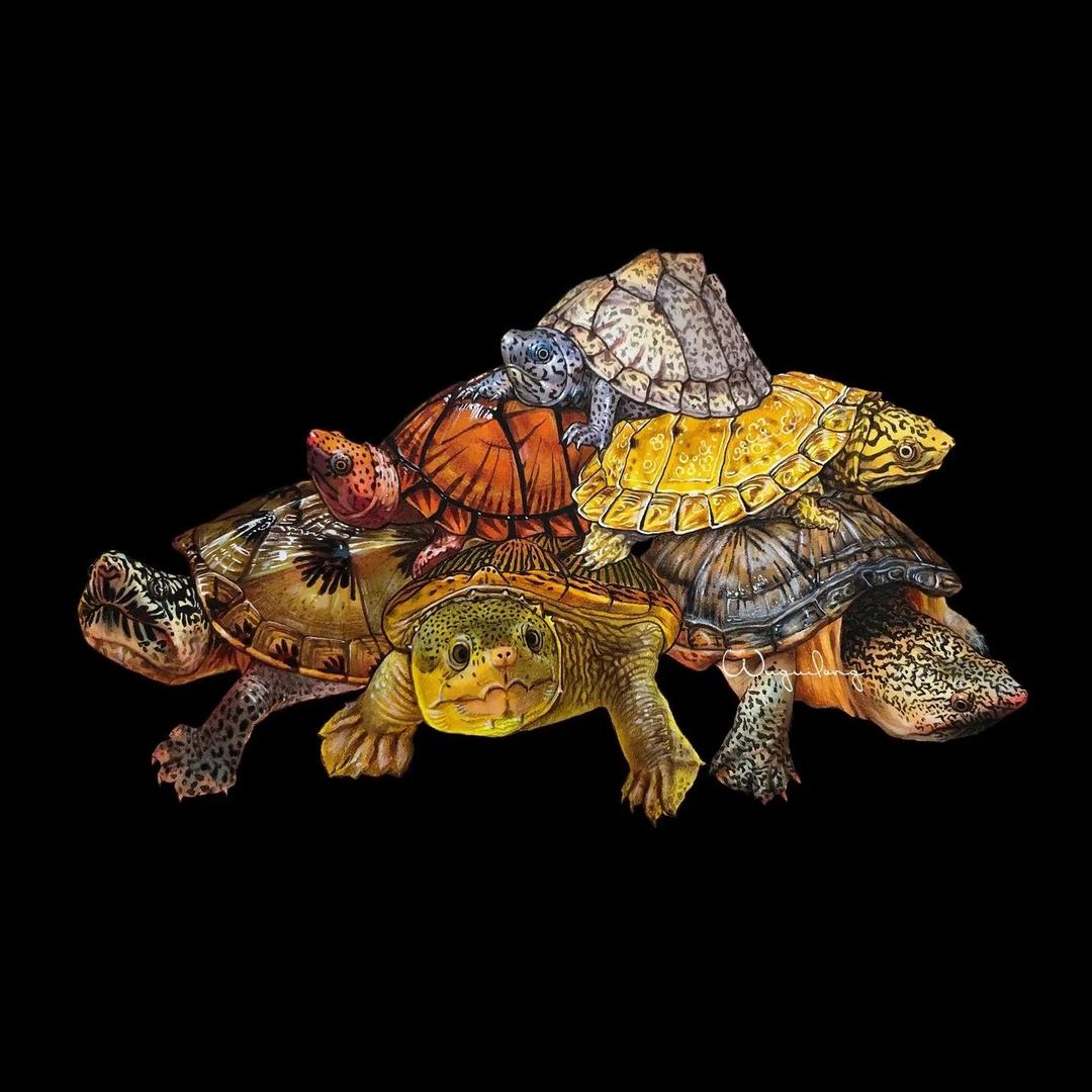 戒烟戒酒不戒🐢🐢🐢
