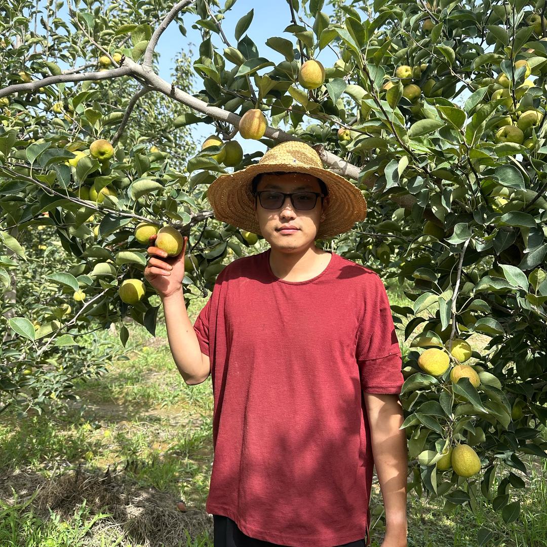 小夏在新疆