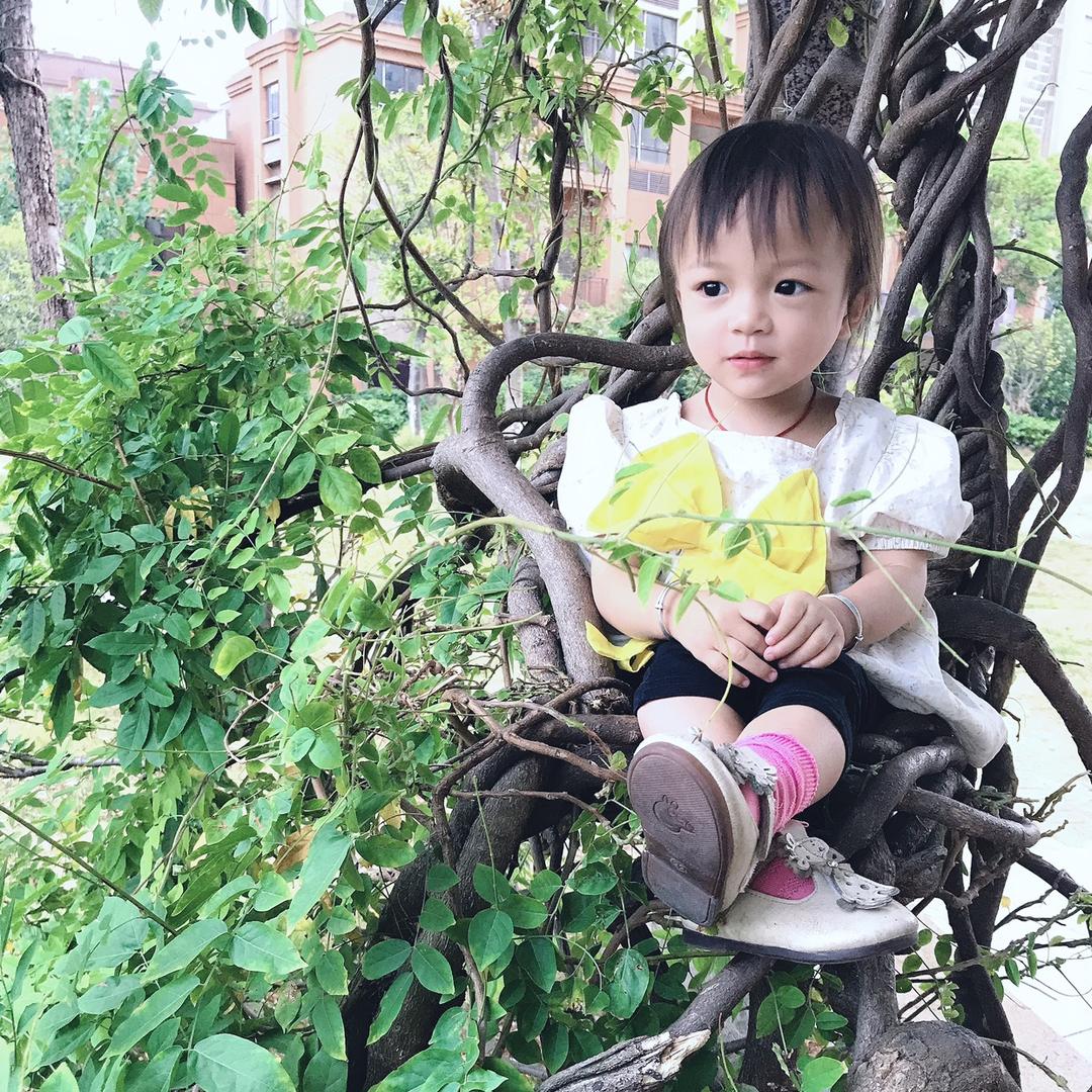 纯纯麻麻