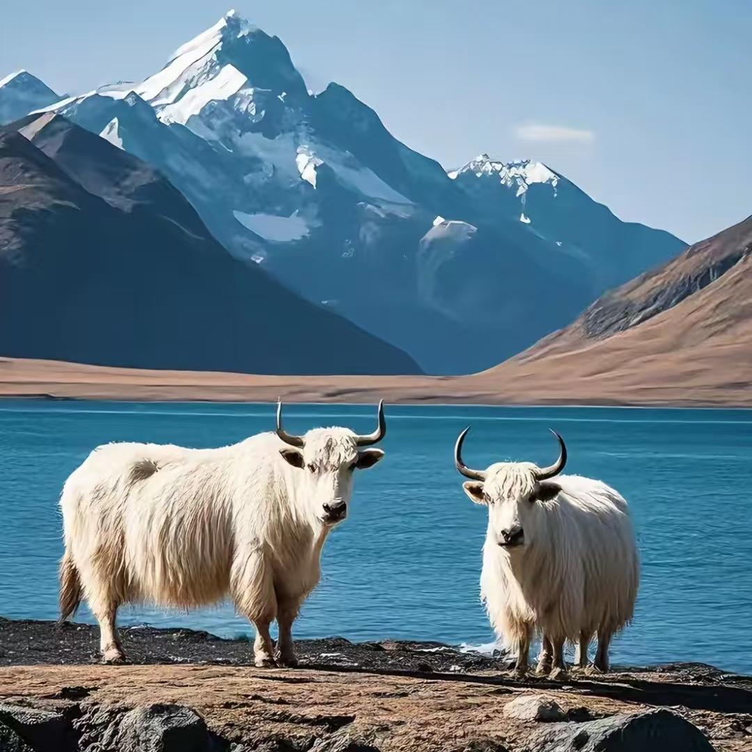 陇鑫坊