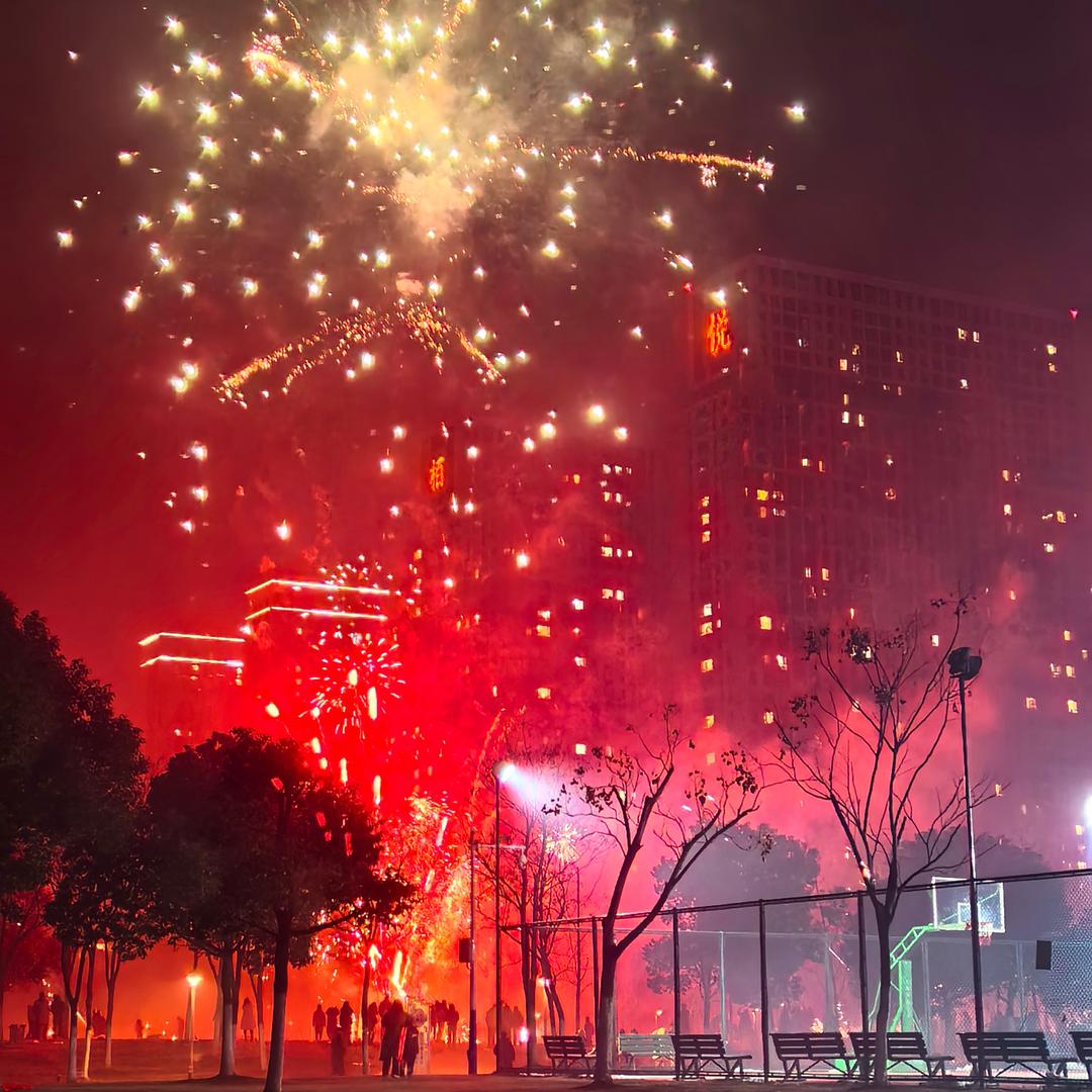 ✨小桃花2✨