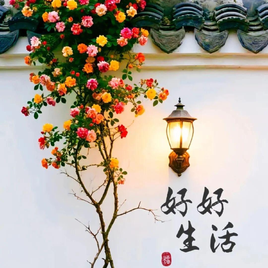 ✨ 七秒记忆✨