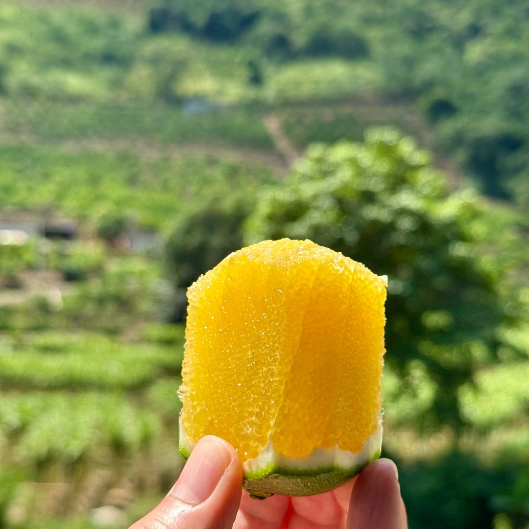 鲜橙到家