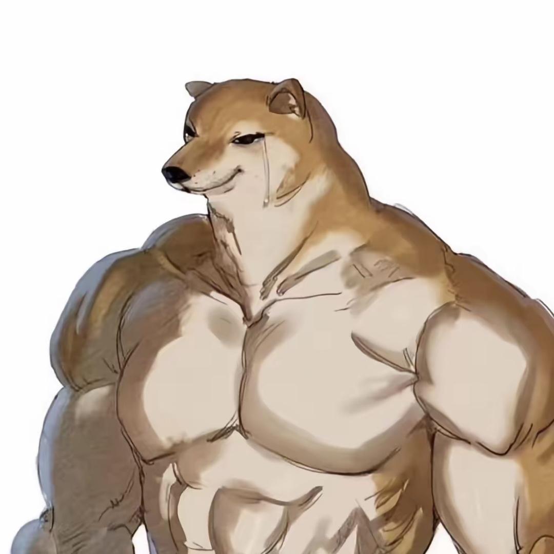 师哥频道