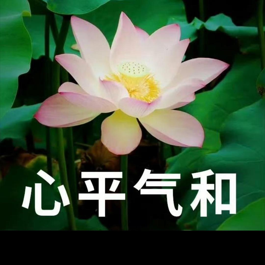 相亲相爱一家人