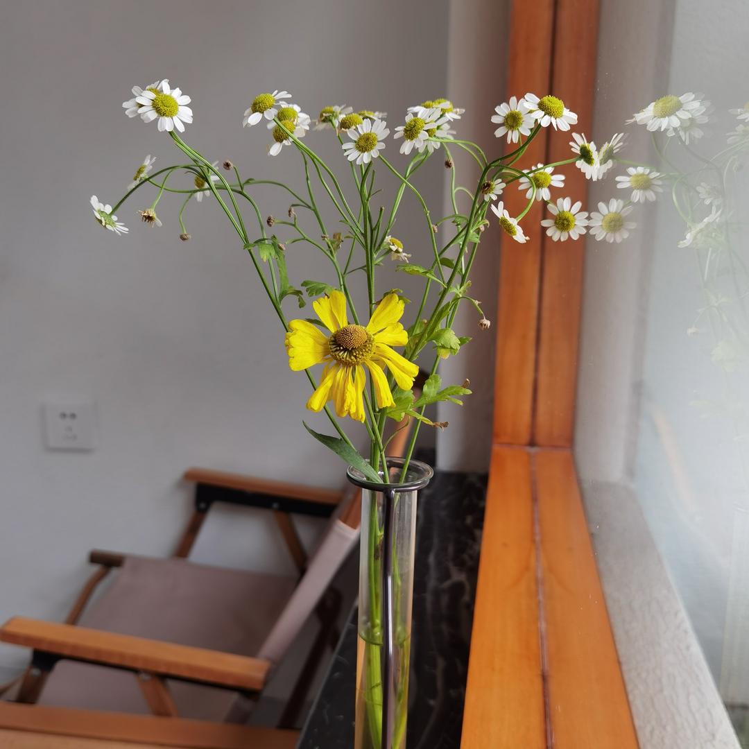 满架芬芳