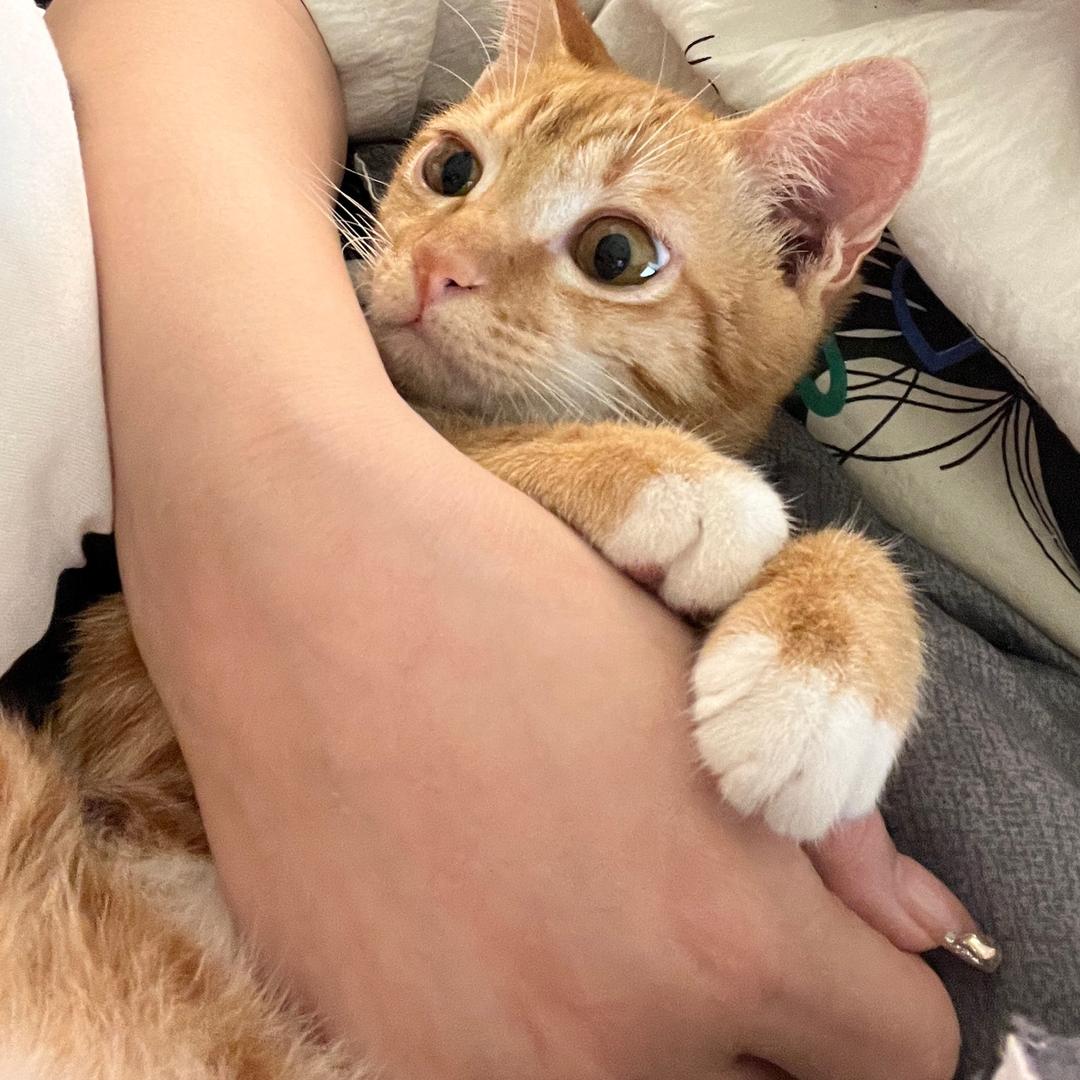 爱吃香菜🧚🏻‍♂️