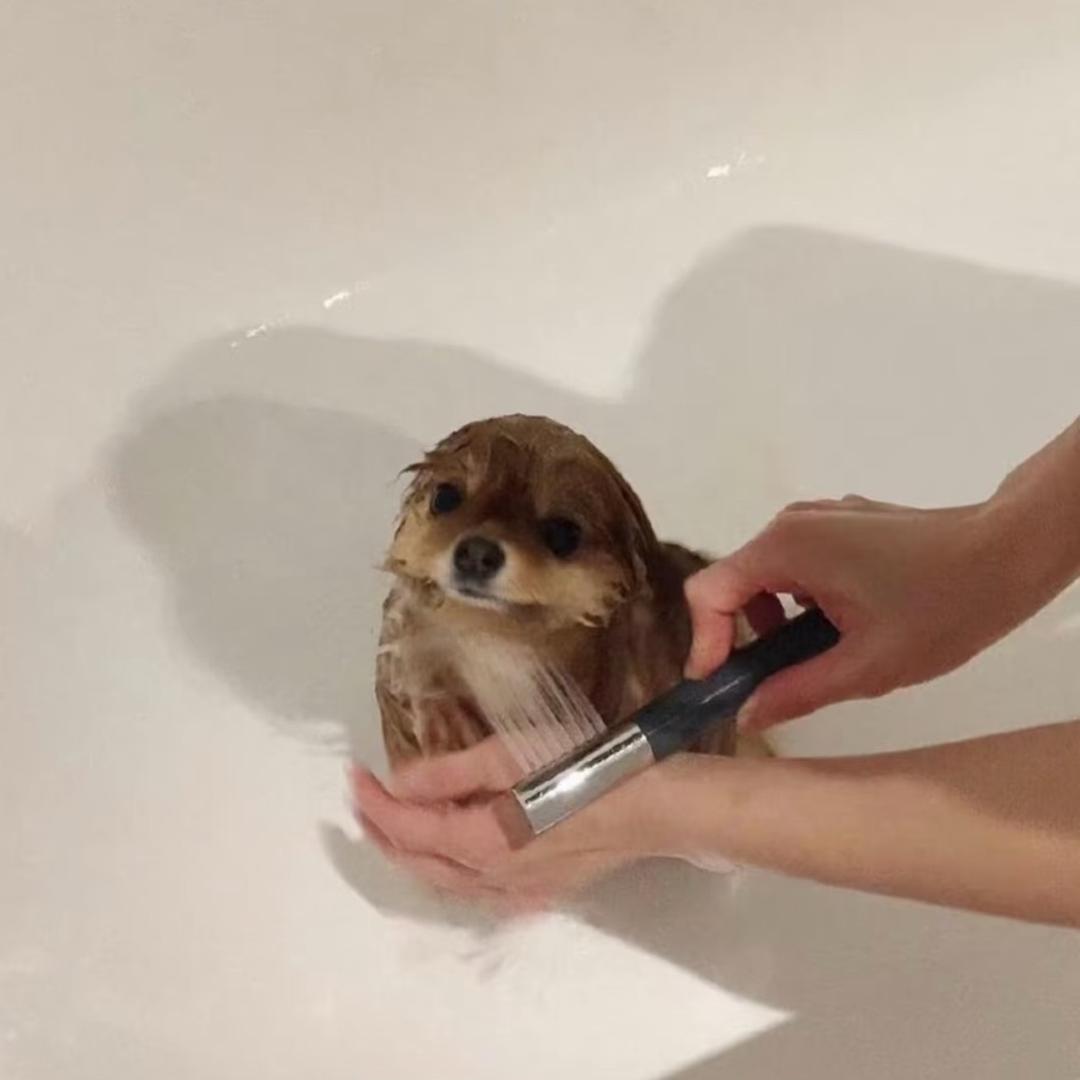 TttT