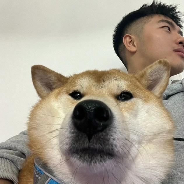 陈Vv