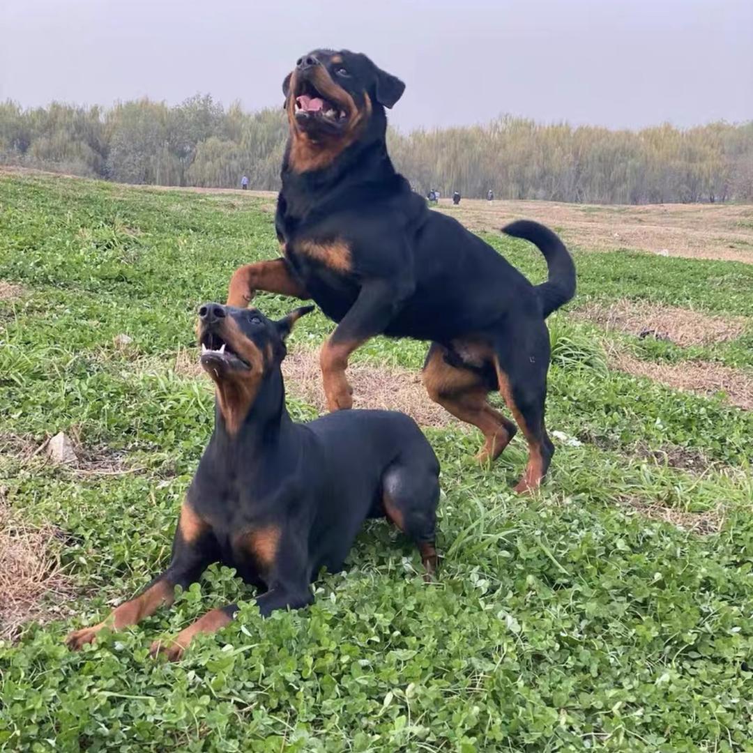 圈子不同别硬融