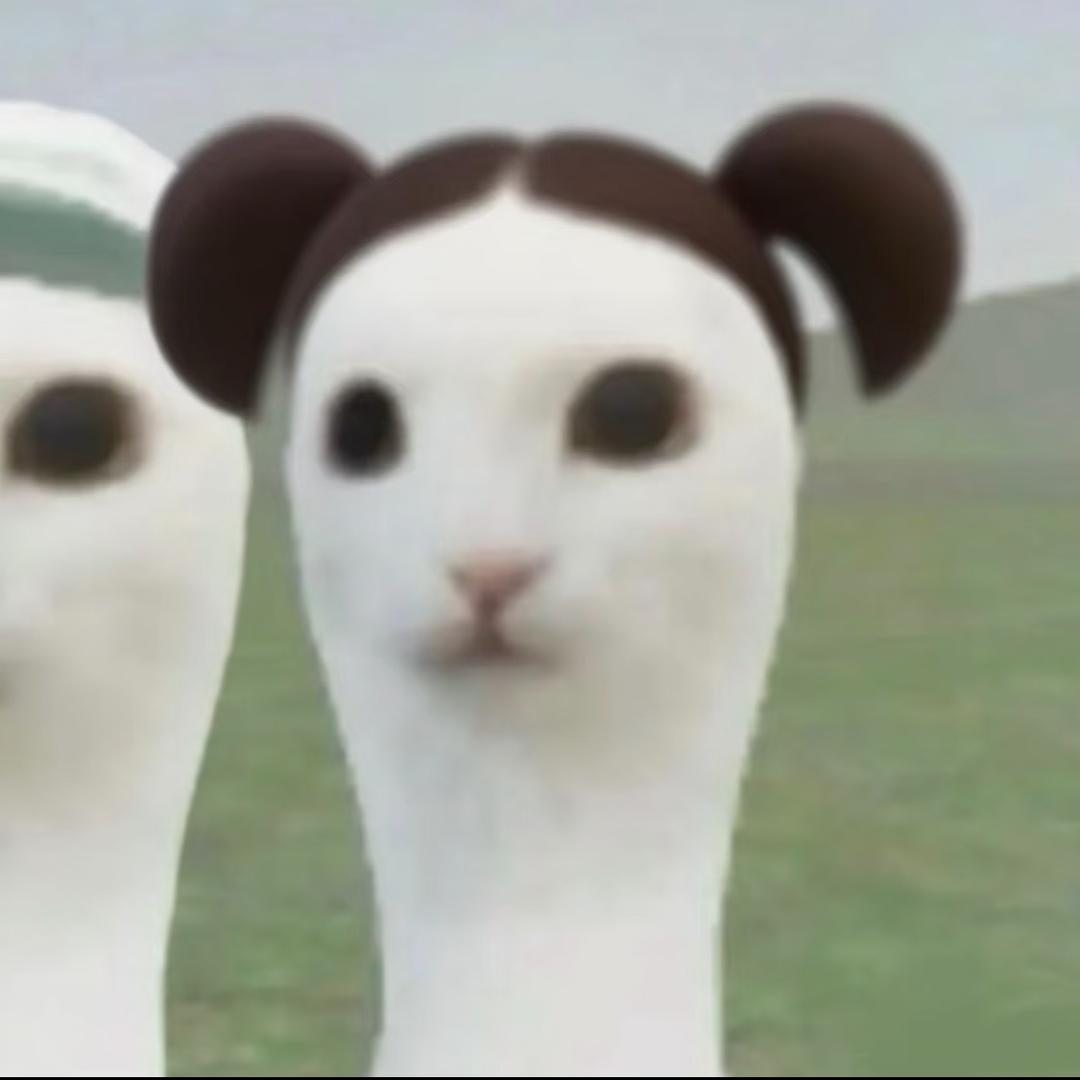情不是晴