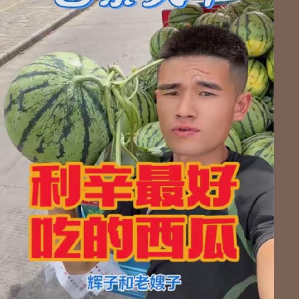 辉子和老嫂子