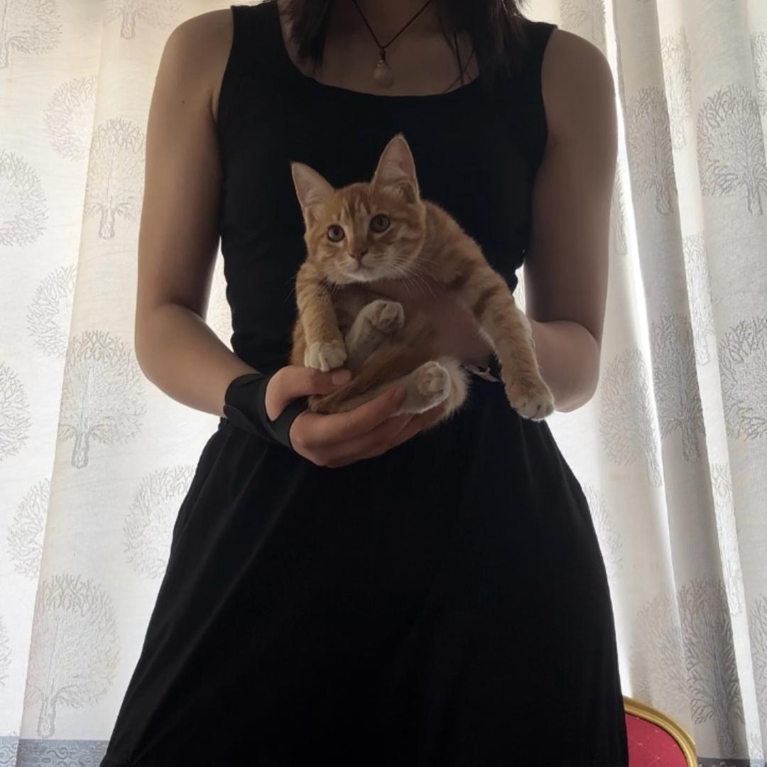 辞病