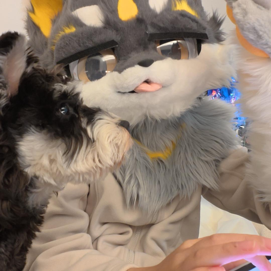 大米🍚ごはん_