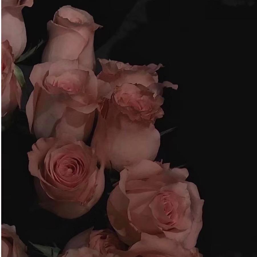 小许很努力