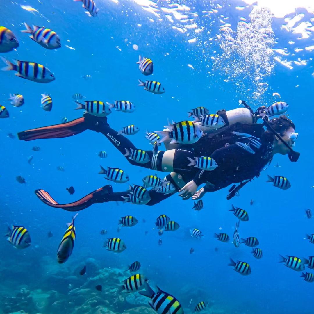 仙本那自由行🏖️