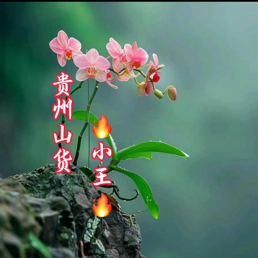 关岭小王土特产