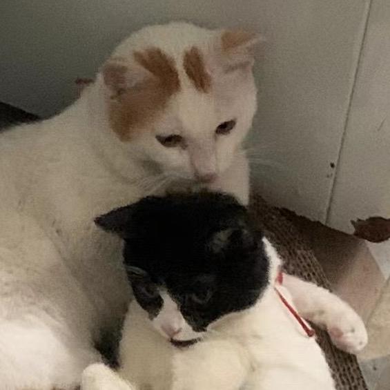 🌈给我中一次福袋吧