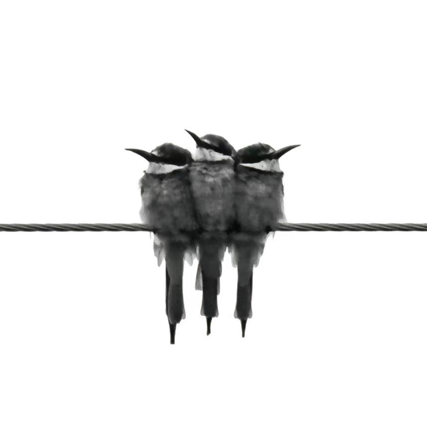 Hztttl-