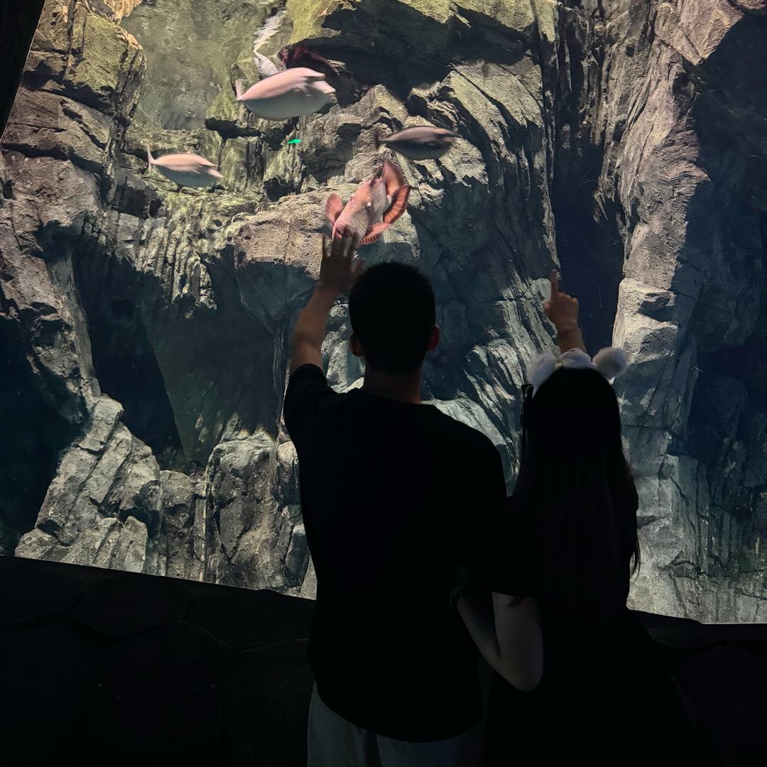 小欧和小肖奶油中古风小家🏠