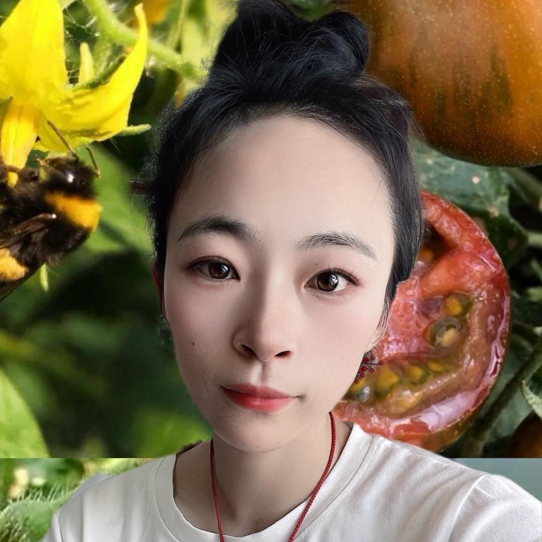 :-D懶蟲
