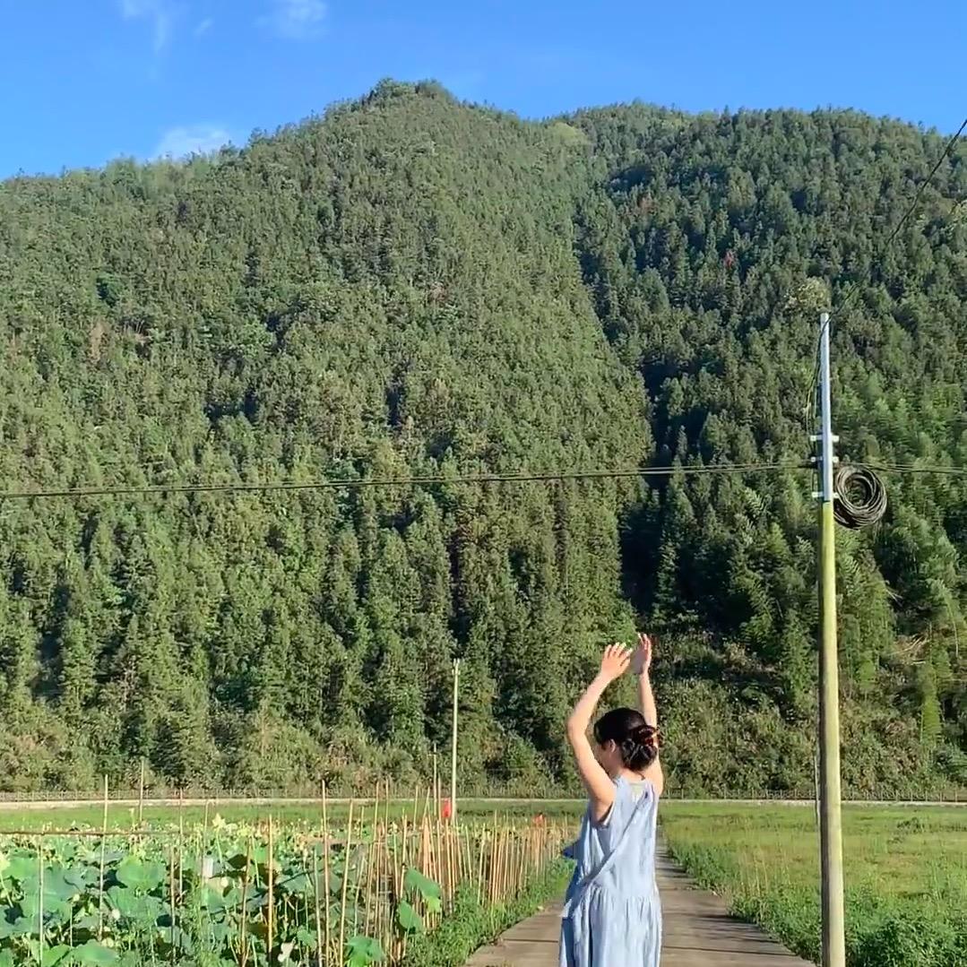 草莓味儿的月亮