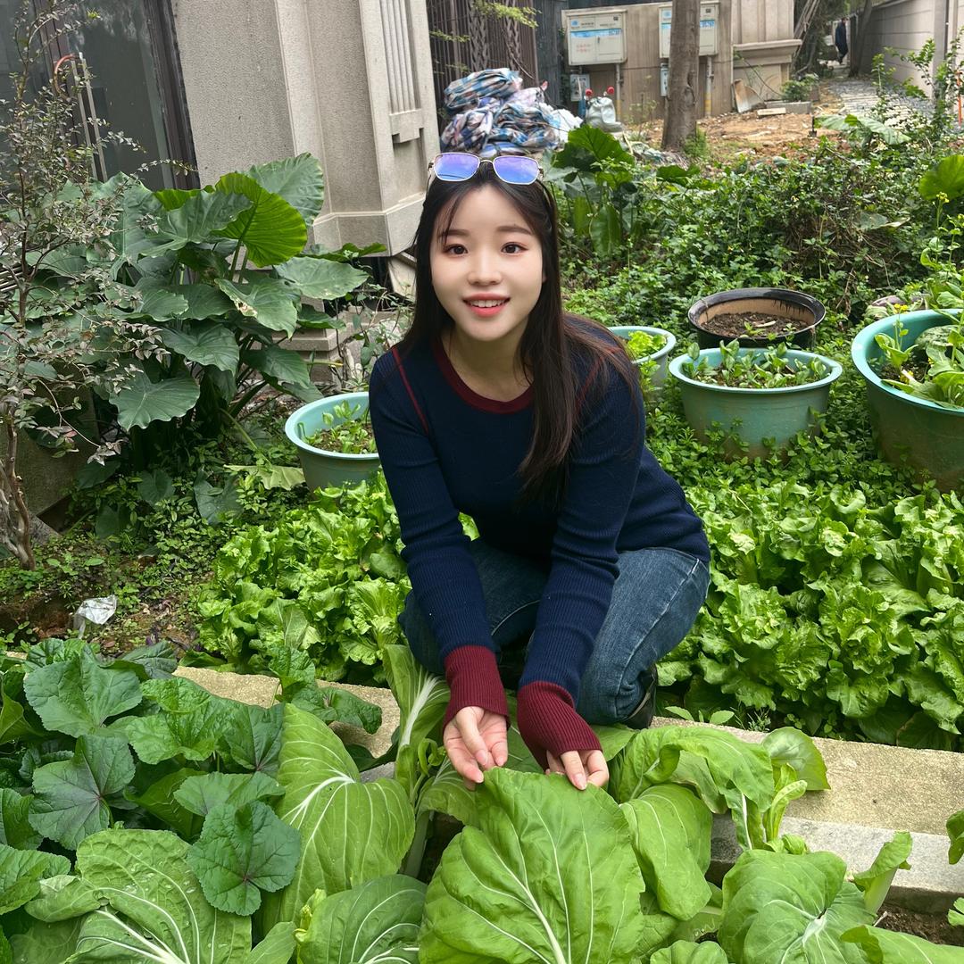 小胖手