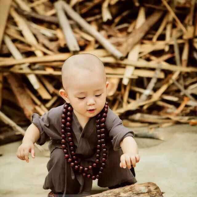 蒋铁锤🔨