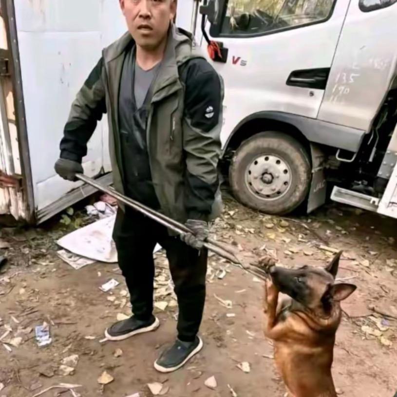 蒋师傅专业偷狗