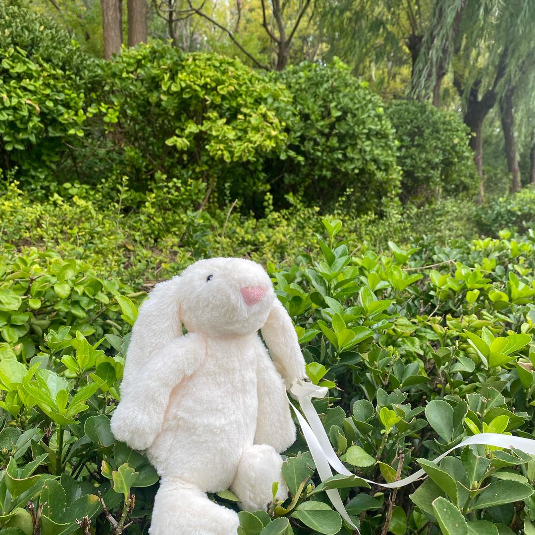 :࿐🦋 婷এº᭄