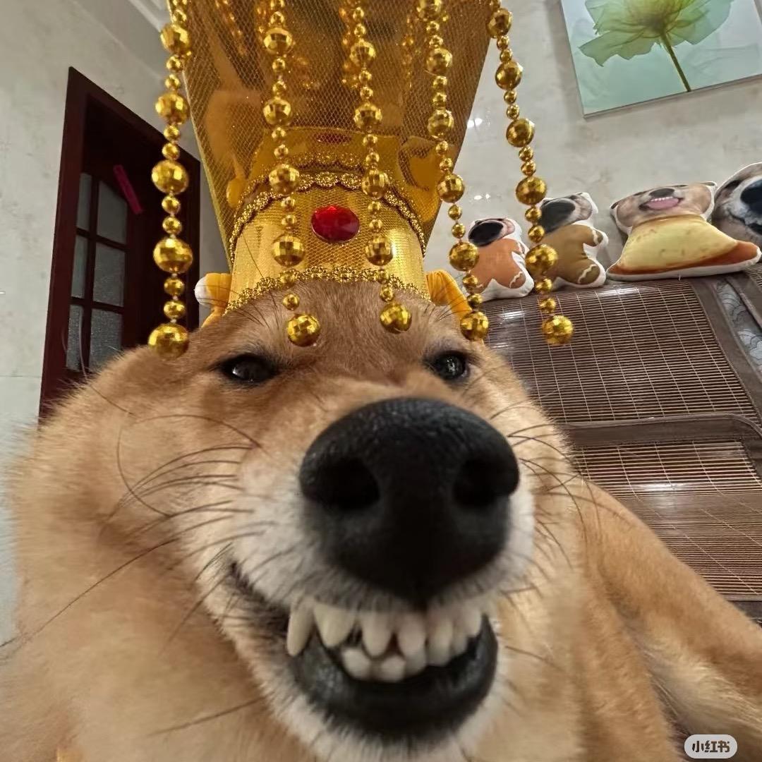 月底猴生人