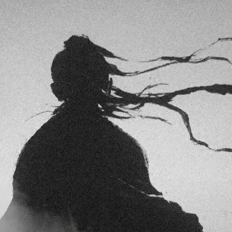 欧气满满青雲