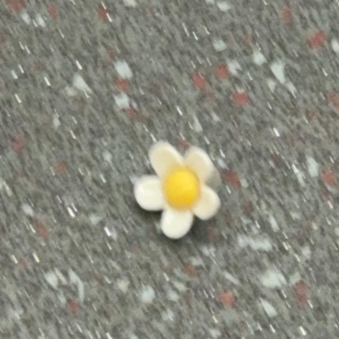 南柯一梦