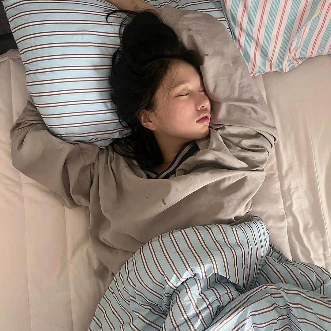 呆瓜不会飞