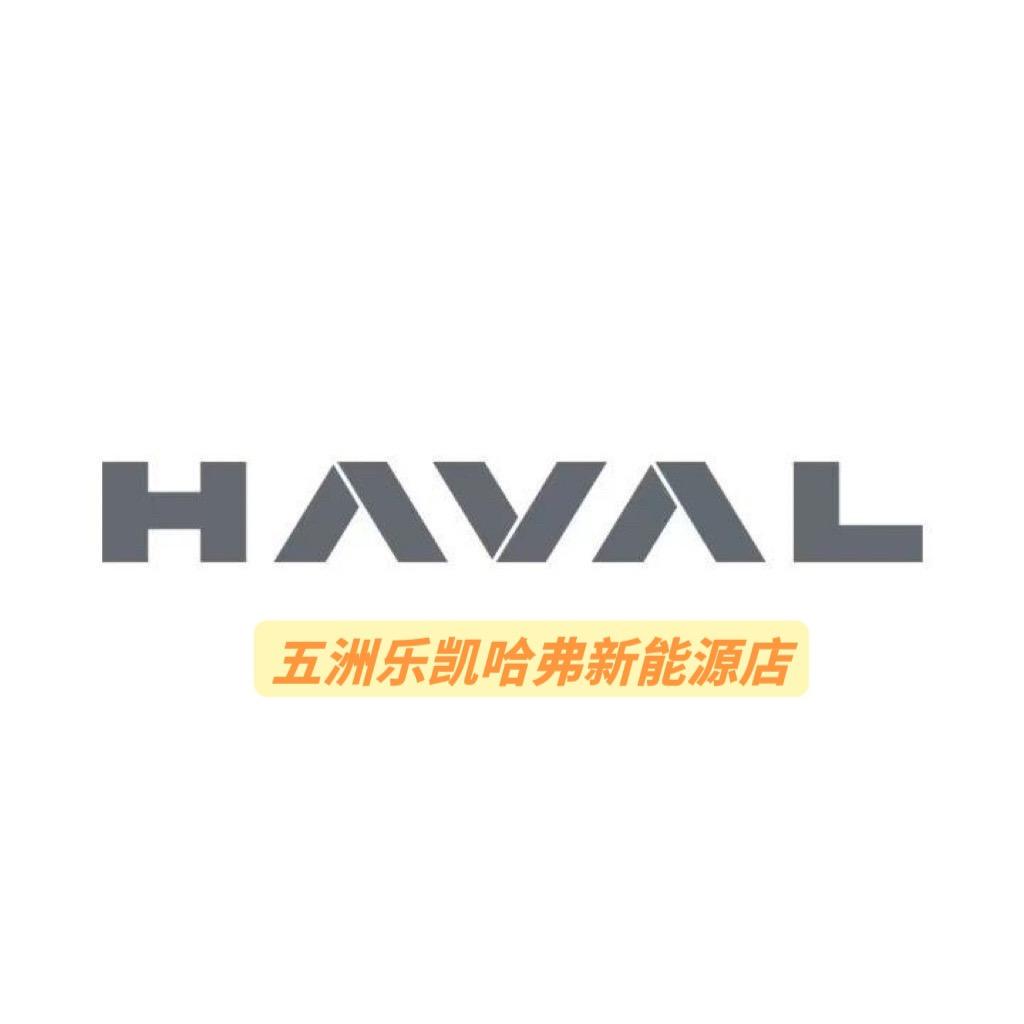 哈弗新能源五洲乐凯店