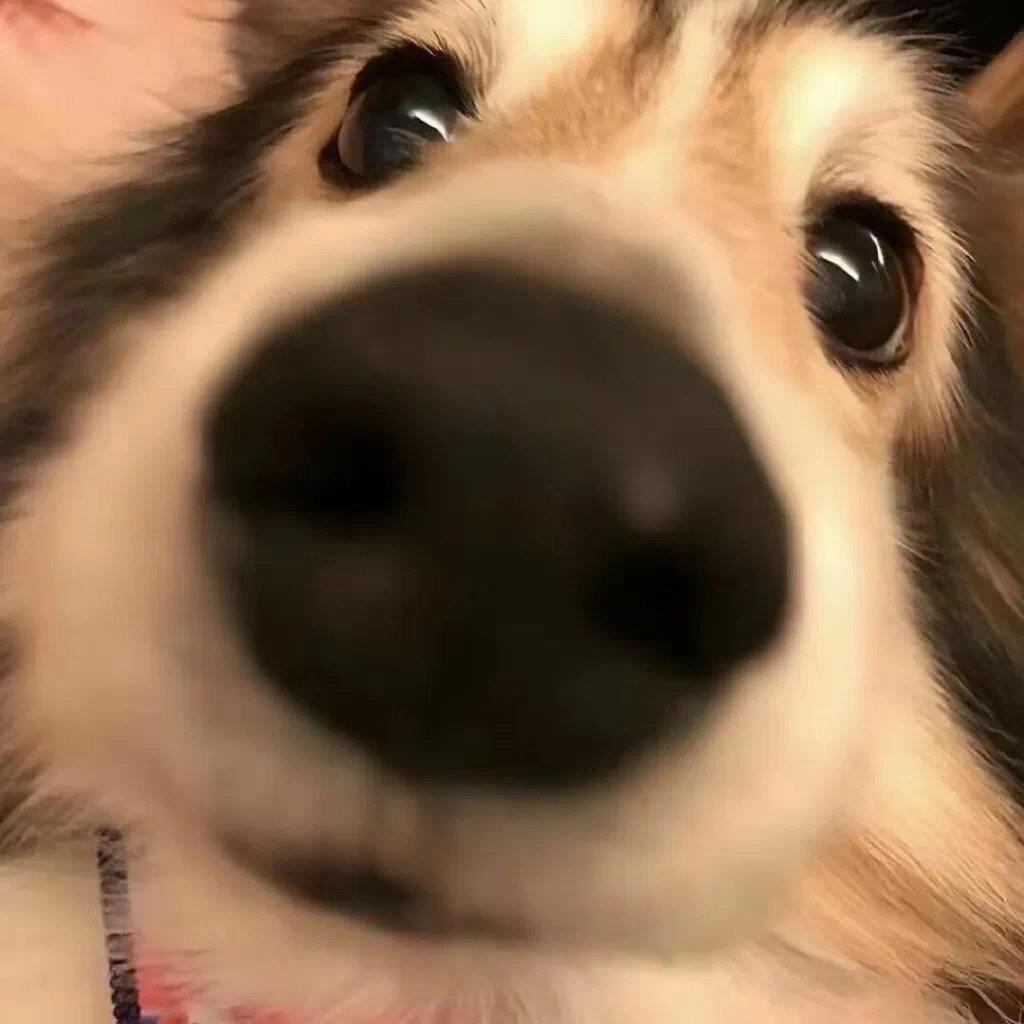 豆～