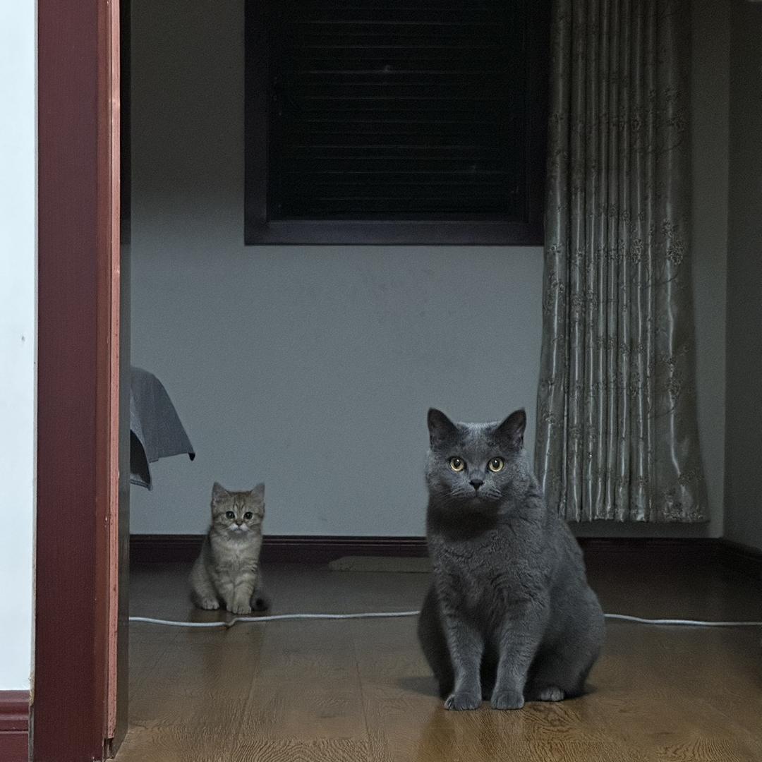 我现在肚子痛
