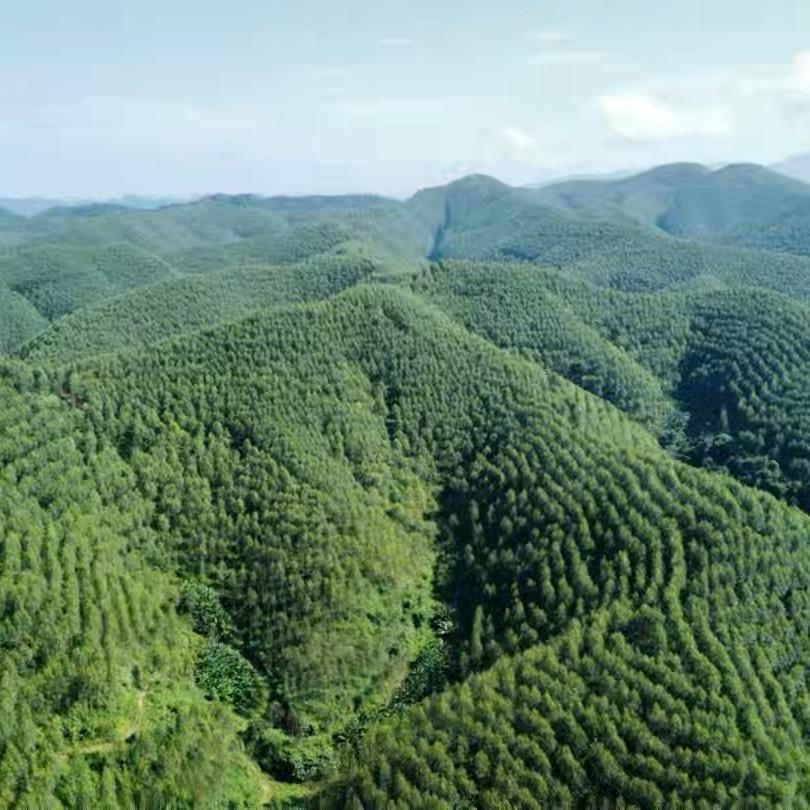 崇正堂——小号