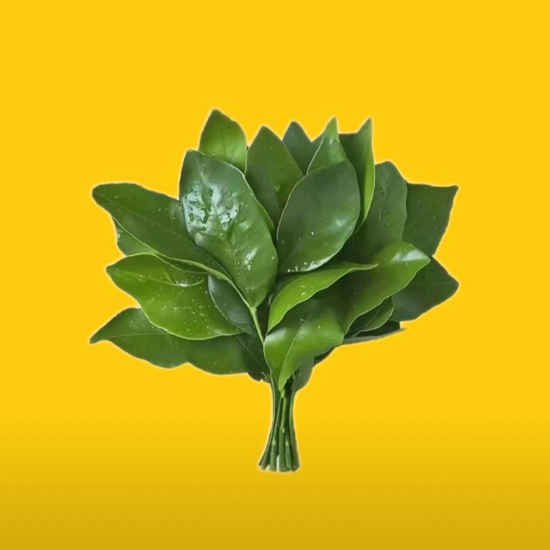 婲小婲