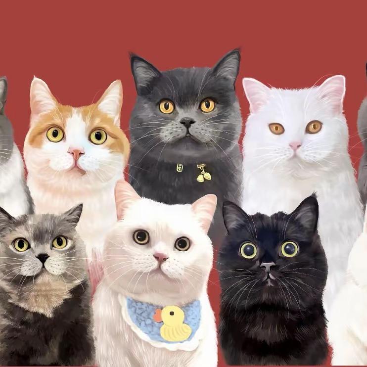 果冻是只可爱猫@抖音