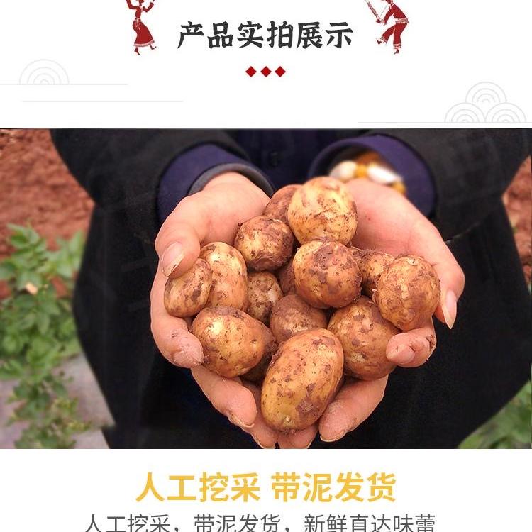 恩施高山甄选