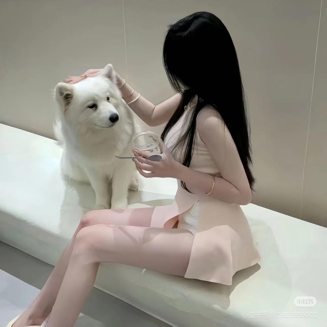 阿全在线订房