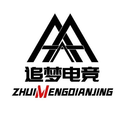 追梦(王者电竞工作室)