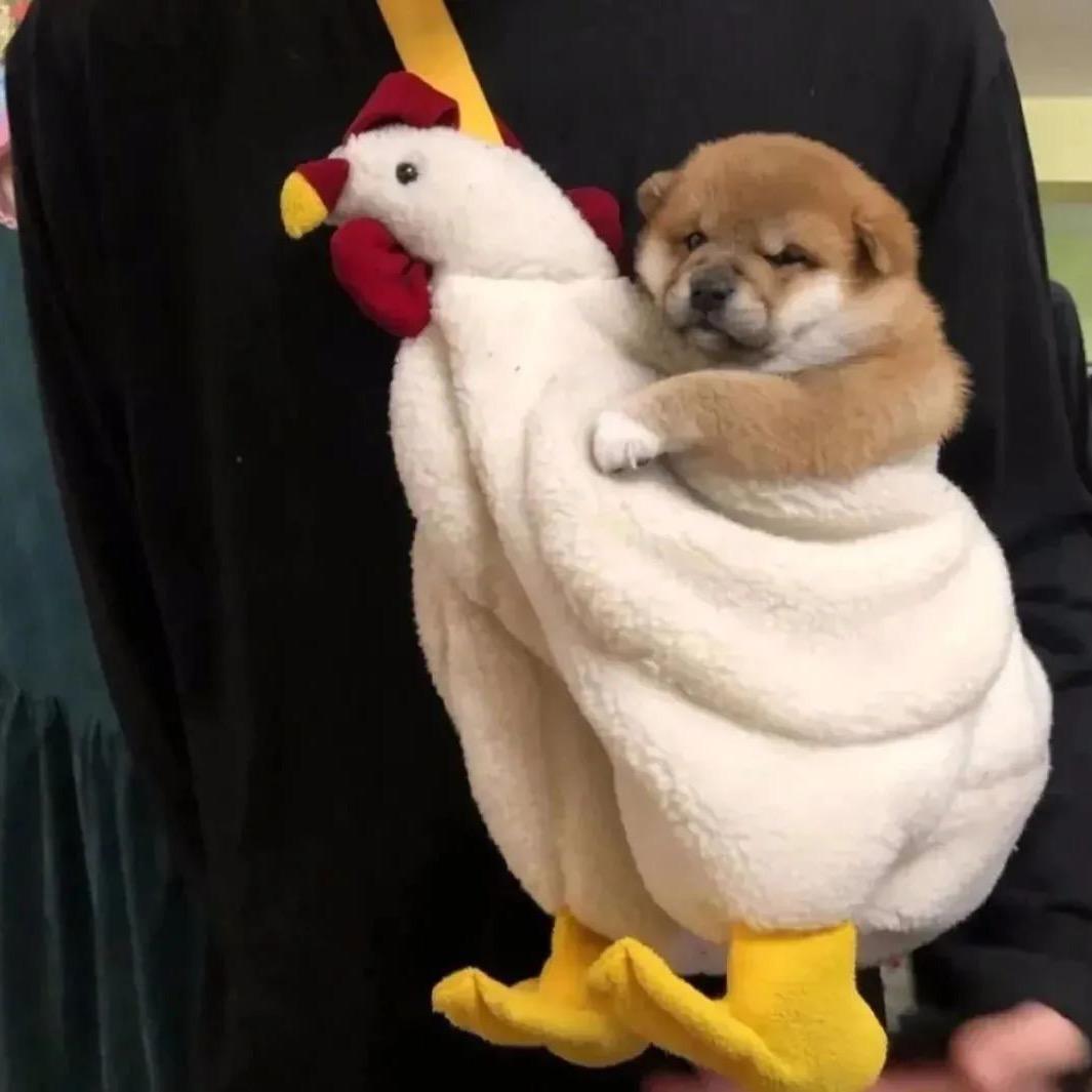 不吃碳水！