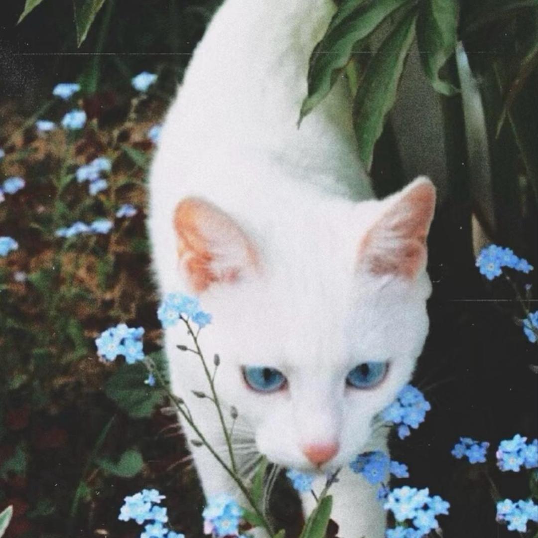 jr_