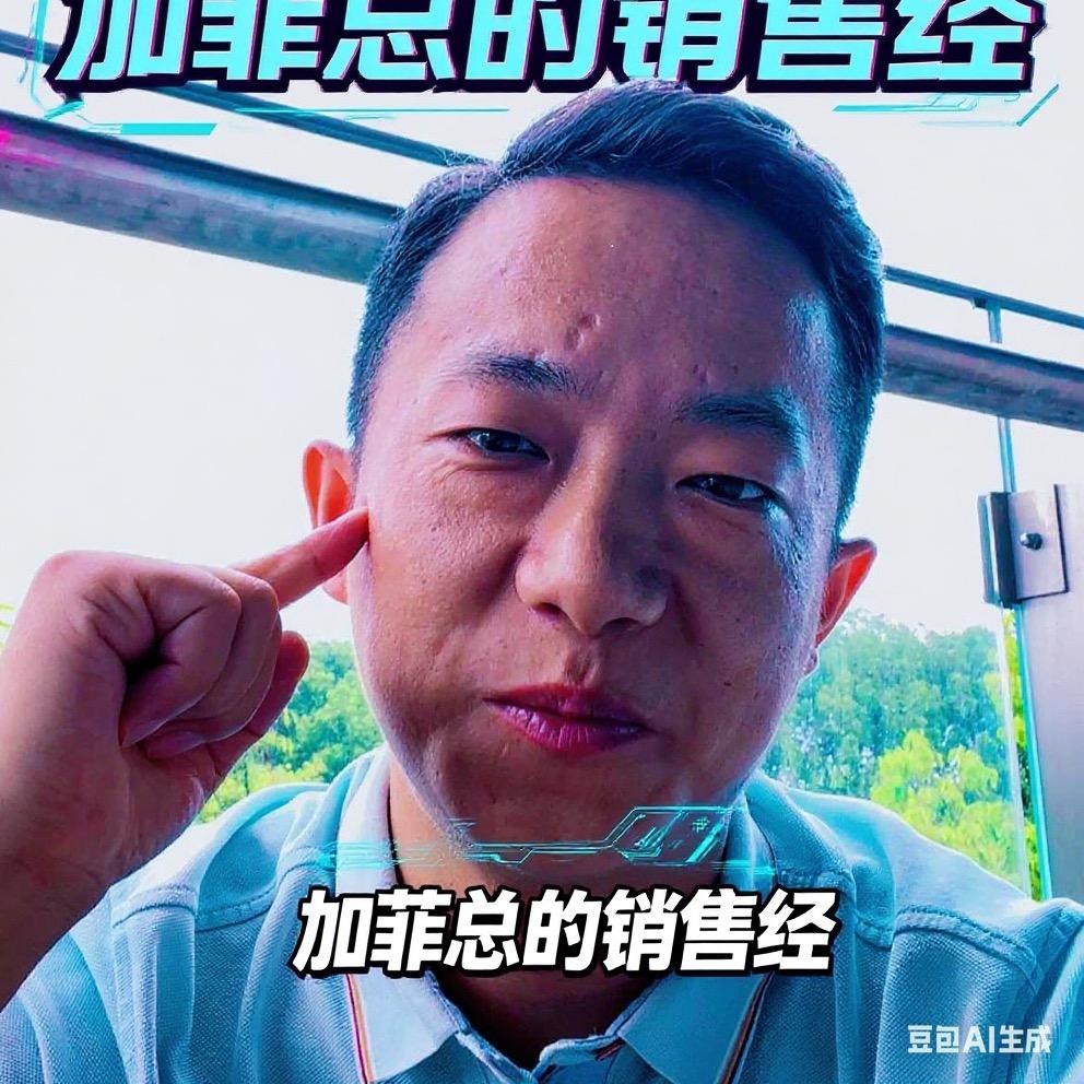 加菲总的销售经
