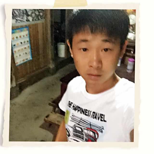 w z j丢了幸福的猪