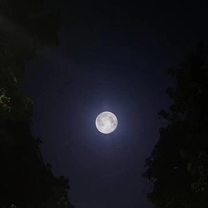 大地